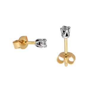 Delikatne kolczyki idealne do codziennej i wieczorowej stylizacji.