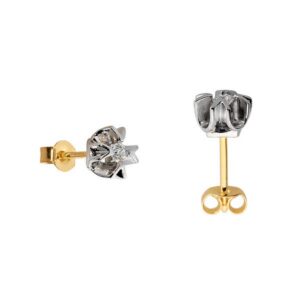 Delikatne kolczyki idealne do codziennej i wieczorowej stylizacji.