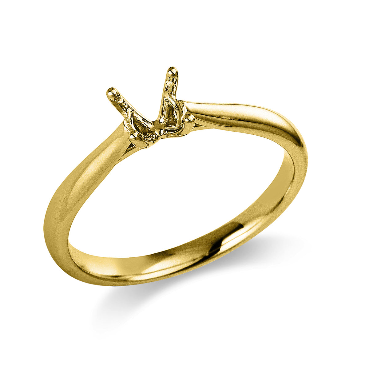 Oprawa Ring - 1C460