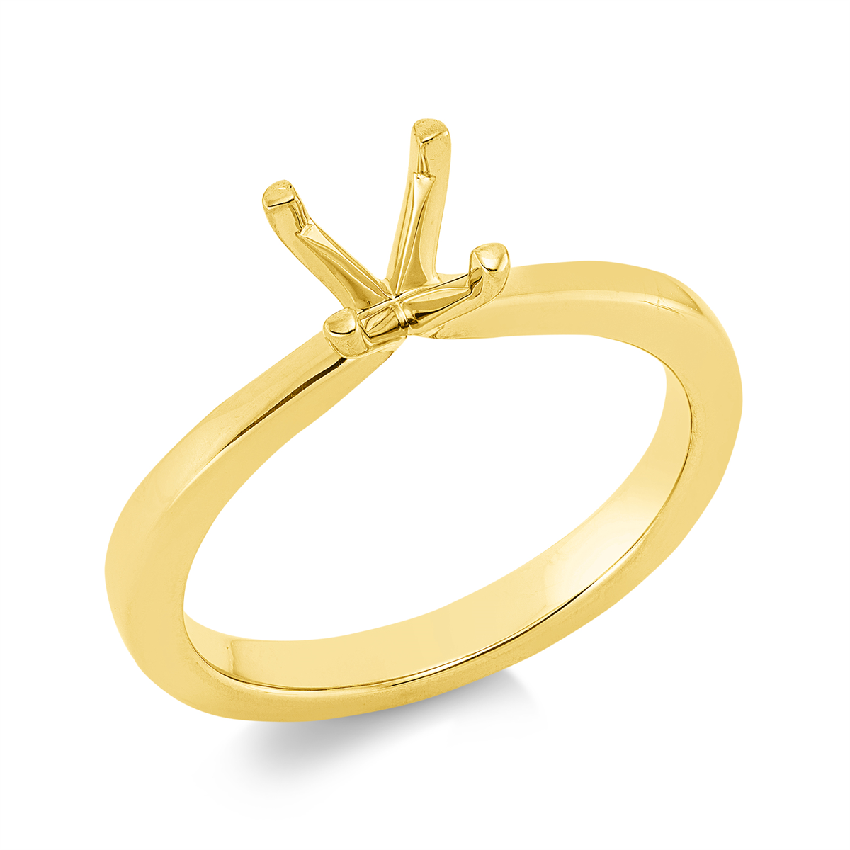 Oprawa Ring - 1DV63