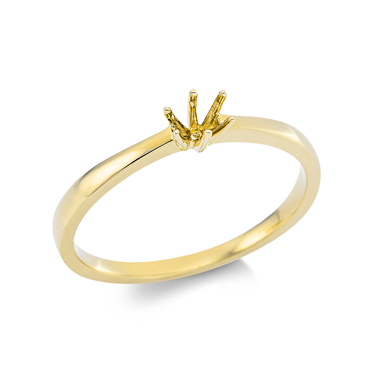 Oprawa Ring - 1E365