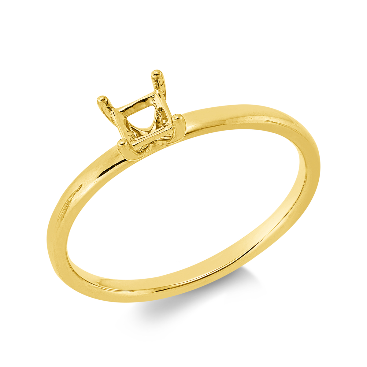 Oprawa Ring - 1IC53