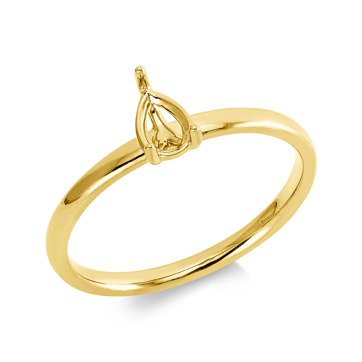 Oprawa Ring - 1IC61