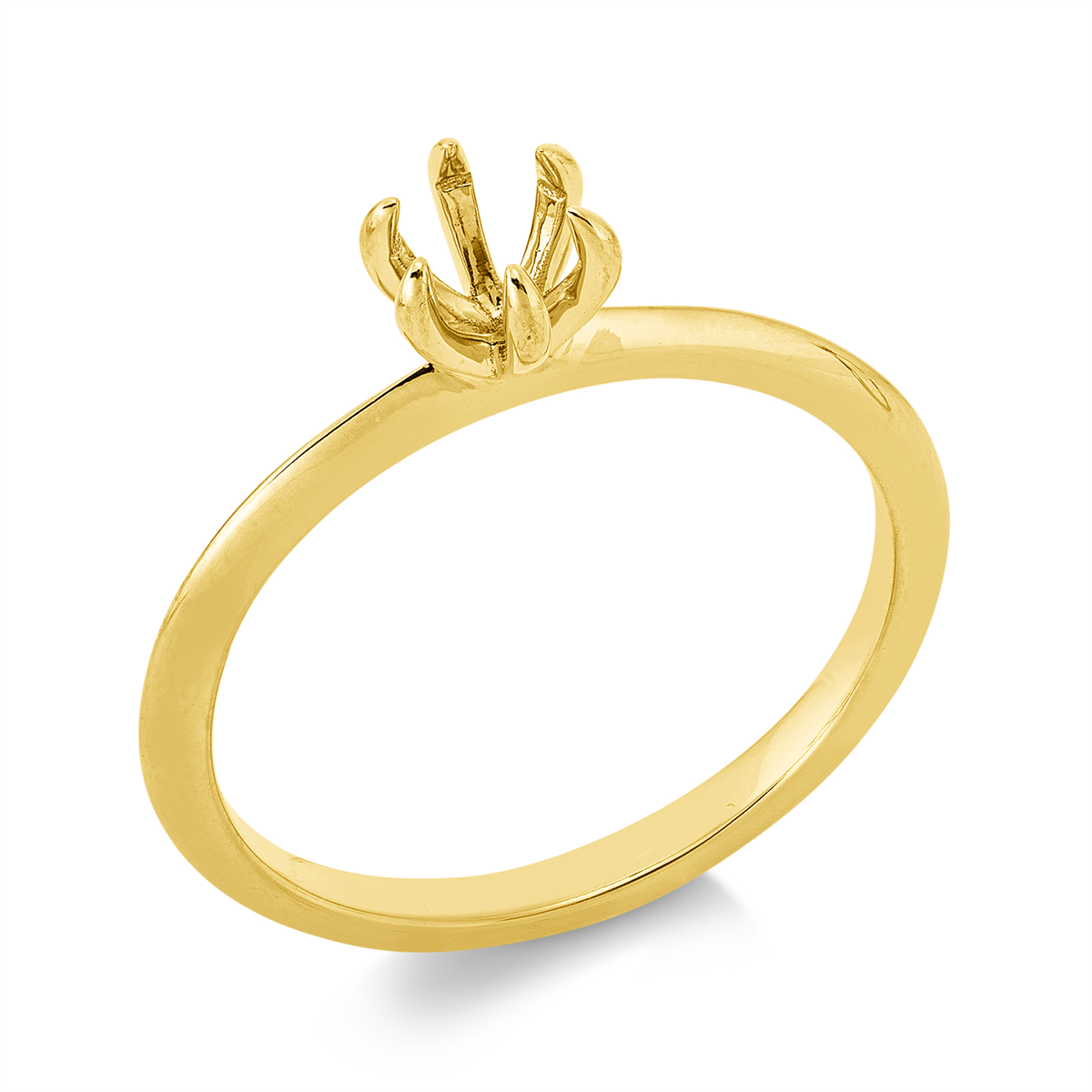 Oprawa Ring - 1JP84