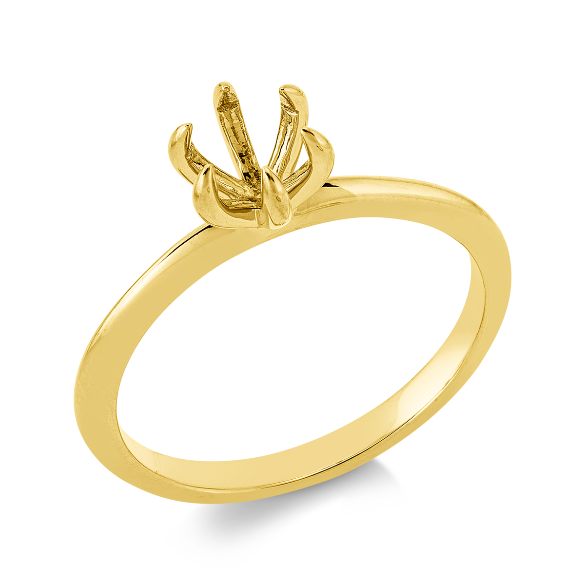 Oprawa Ring - 1JP86