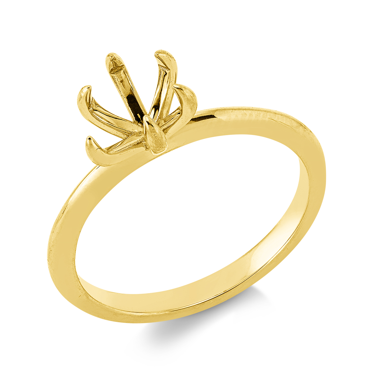 Oprawa Ring - 1JP89