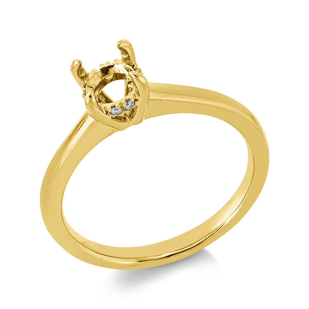 Oprawa Ring - 1JQ02