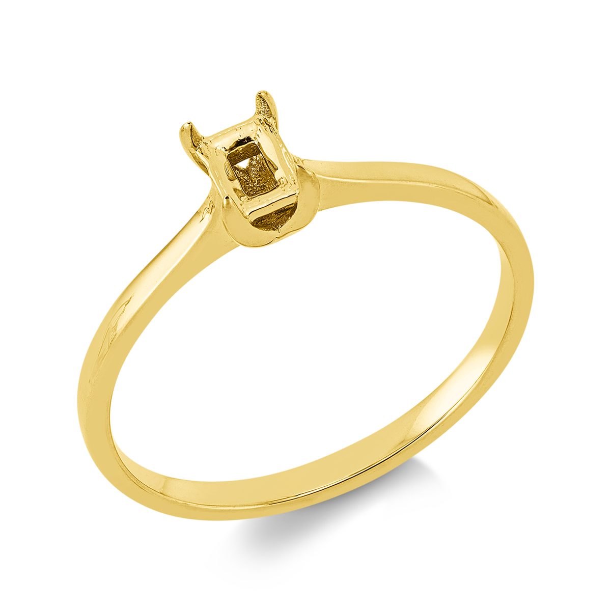 Oprawa Ring - 1JQ12