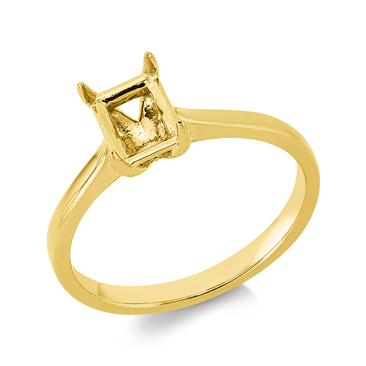Oprawa Ring - 1JQ17