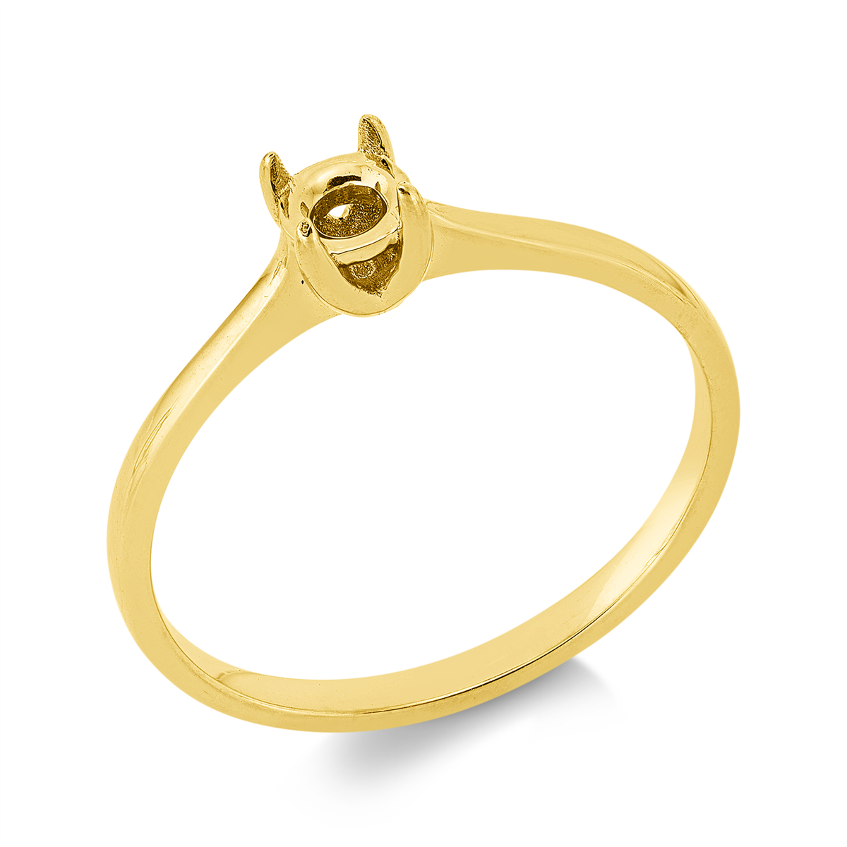 Oprawa Ring - 1JQ19
