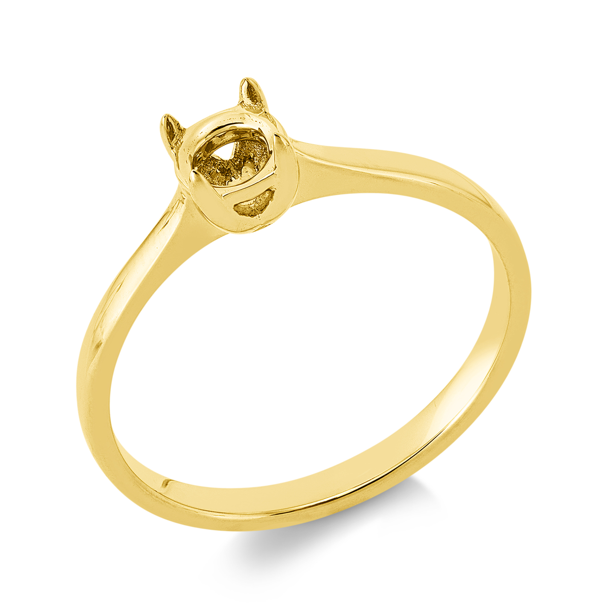 Oprawa Ring - 1JQ21