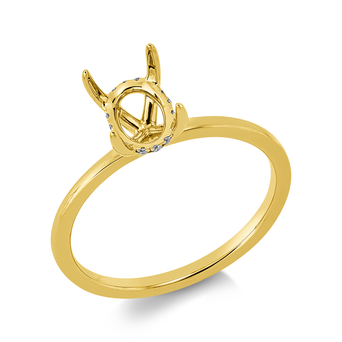 Oprawa Ring - 1JS70