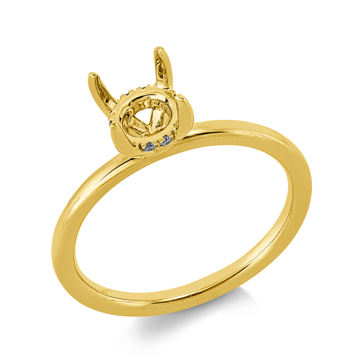 Oprawa Ring - 1JS81