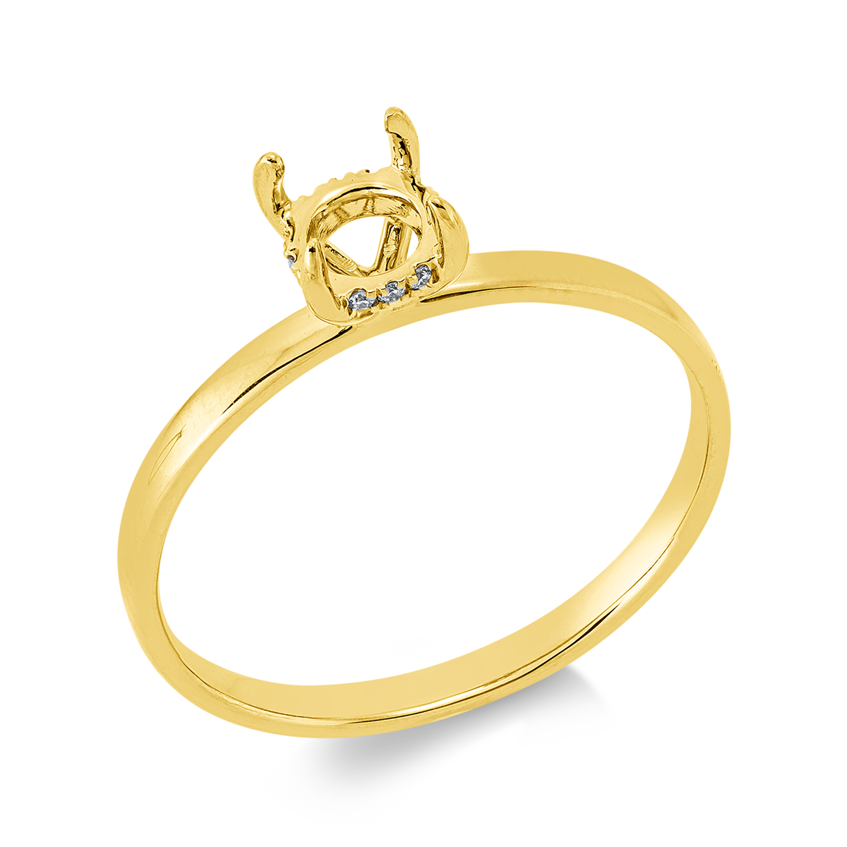 Oprawa Ring - 1JT05