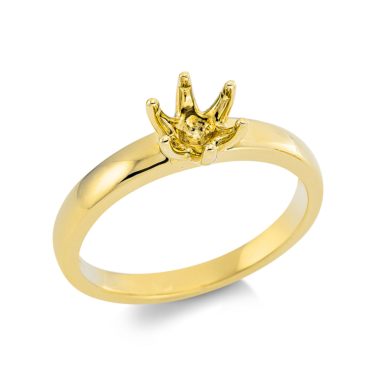 Oprawa Ring - 1O328
