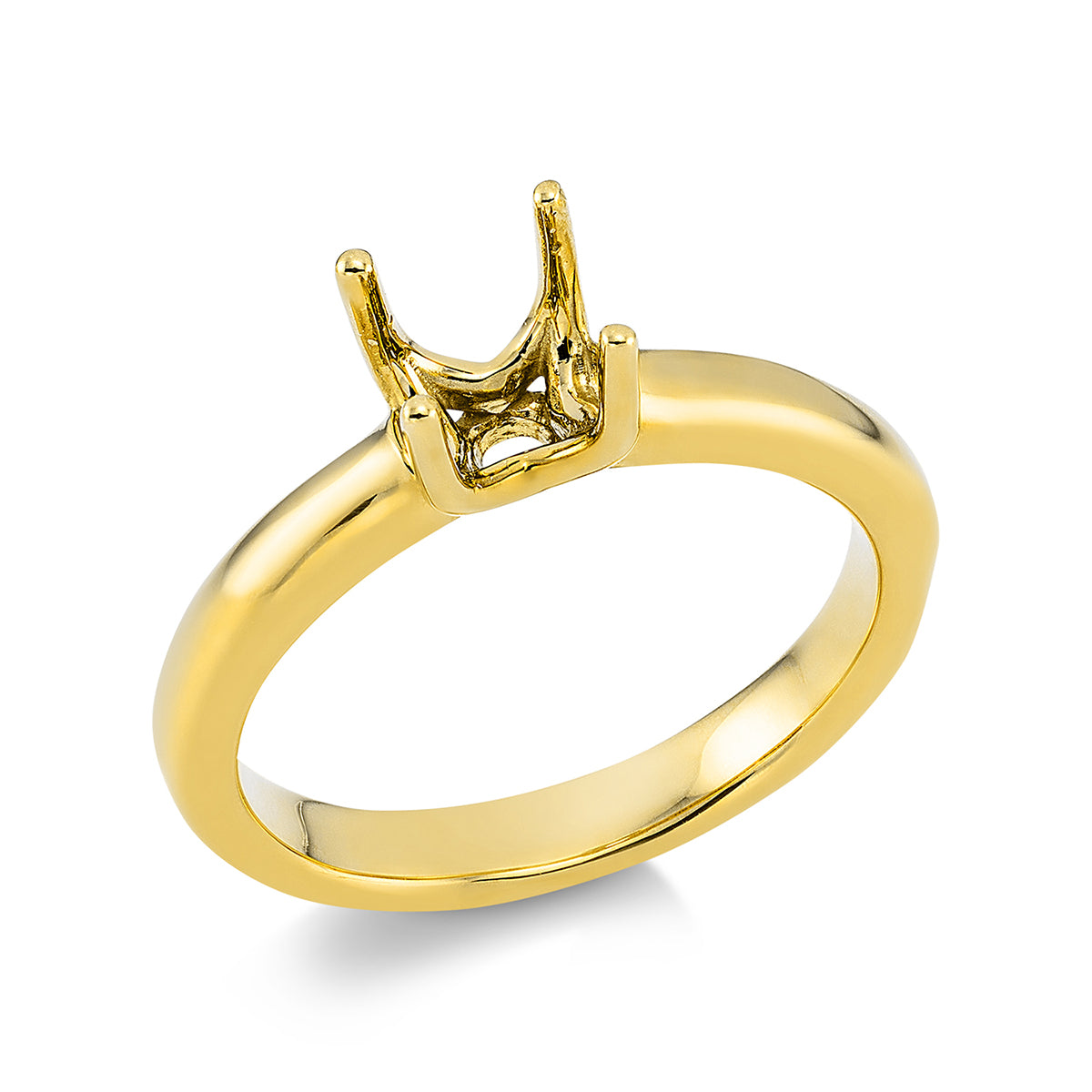 Oprawa Ring - 1O354