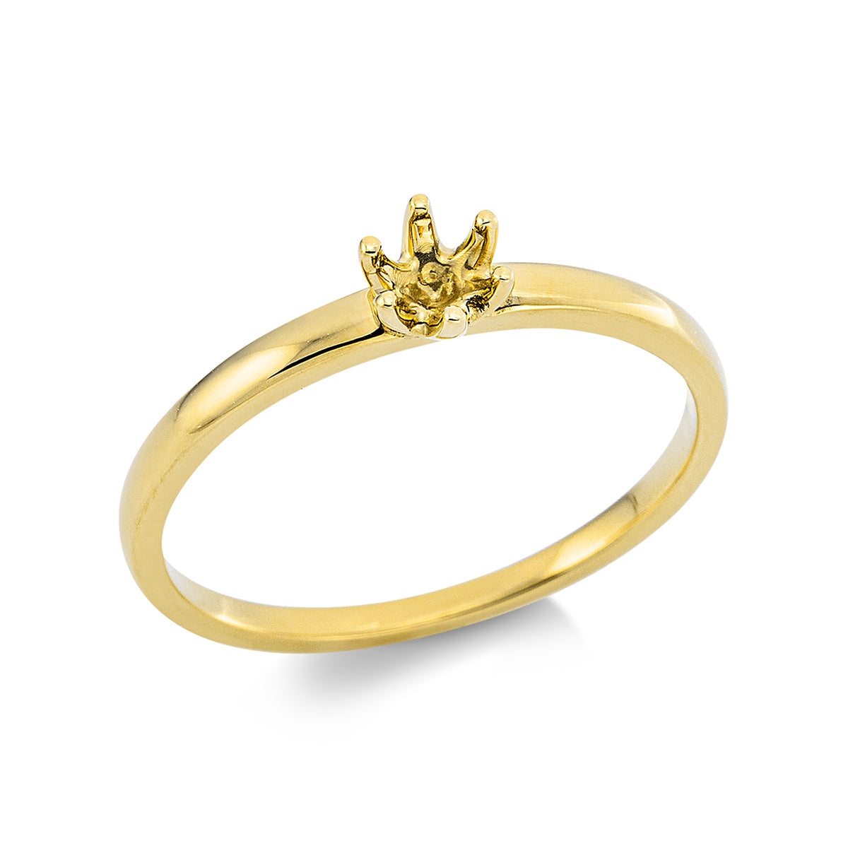 Oprawa Ring - 1U390