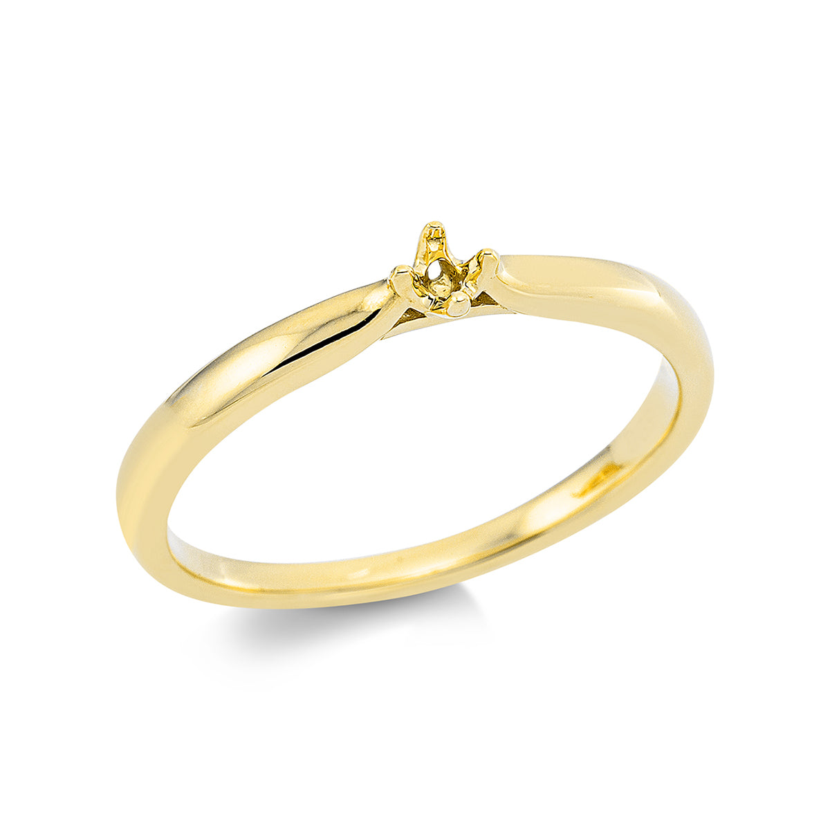 Oprawa Ring - 1Y311